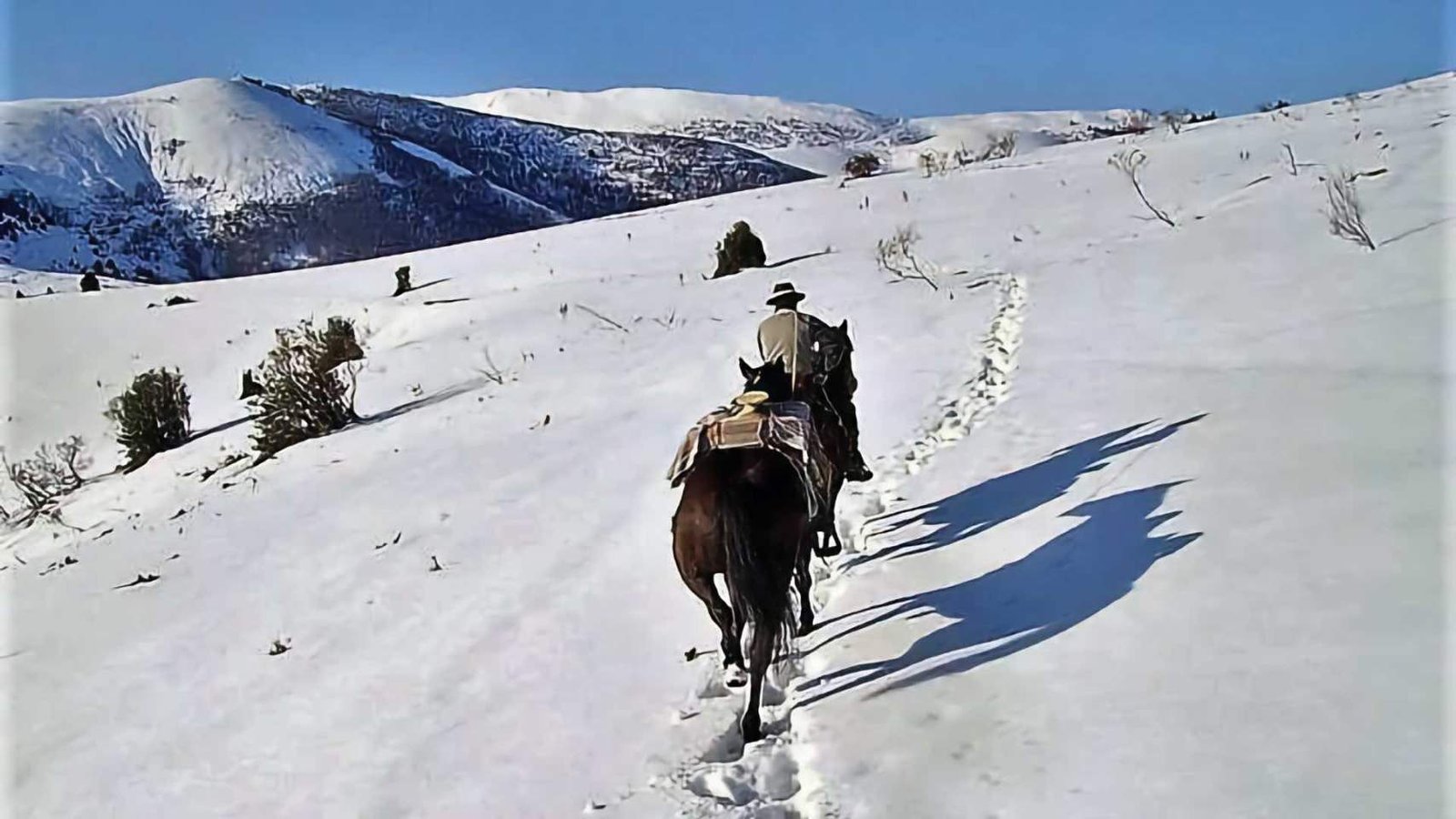 sentido de la orientacion de los caballos