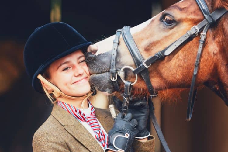 Consejos para mantener la salud mental de tu caballo en óptimas condiciones