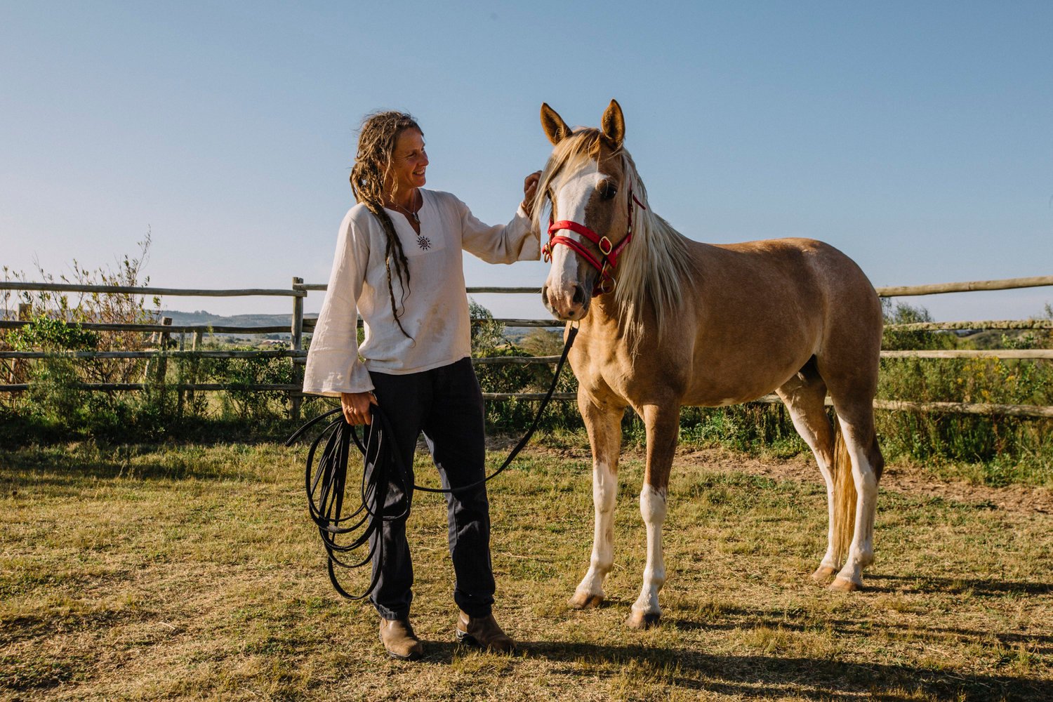 La importancia del entrenamiento en el desarrollo de la relación con tu caballo